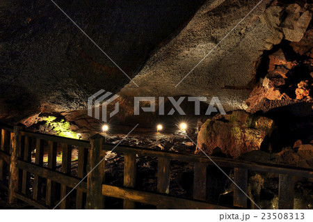 山梨県 西湖コウモリ穴 洞窟内 山梨県 西湖コウモリ穴 洞窟内 23508313