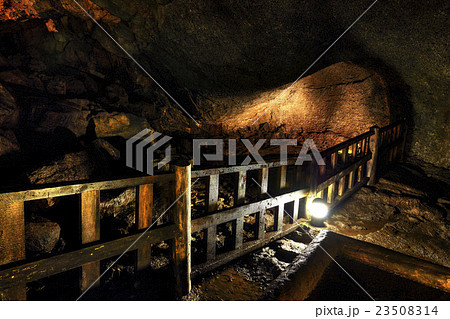 山梨県 西湖コウモリ穴 洞窟内 山梨県 西湖コウモリ穴 洞窟内 23508314