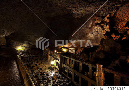 山梨県 西湖コウモリ穴 洞窟内 山梨県 西湖コウモリ穴 洞窟内 23508315