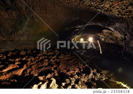 山梨県 西湖コウモリ穴 洞窟内 山梨県 西湖コウモリ穴 洞窟内 23508318