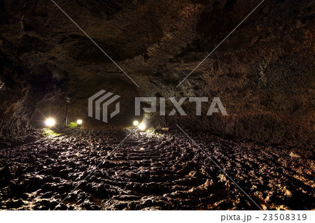 山梨県 西湖コウモリ穴 洞窟内 23508319