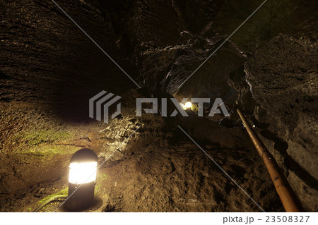 山梨県 西湖コウモリ穴 洞窟内 山梨県 西湖コウモリ穴 洞窟内 23508327