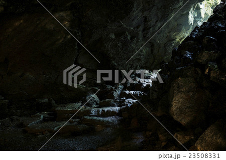 山梨県 西湖コウモリ穴 出口 23508331