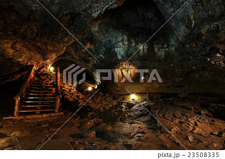 山梨県 西湖コウモリ穴 洞窟内 23508335