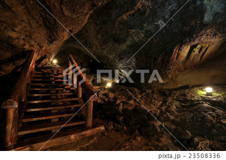 山梨県 西湖コウモリ穴 洞窟内 23508336
