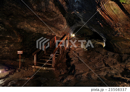 山梨県 西湖コウモリ穴 洞窟内 23508337