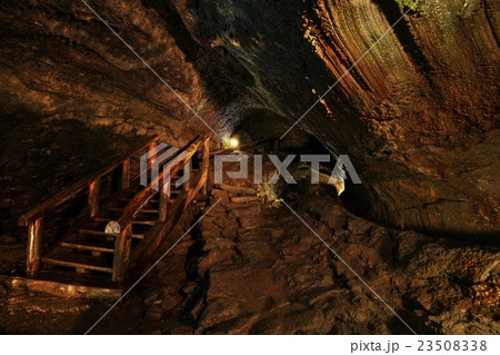 山梨県 西湖コウモリ穴 洞窟内 山梨県 西湖コウモリ穴 洞窟内 23508338
