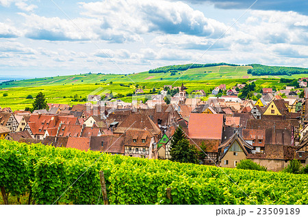 リクビルの丘の上から 23509189