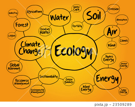 Ecology mind map flowchart 23509289