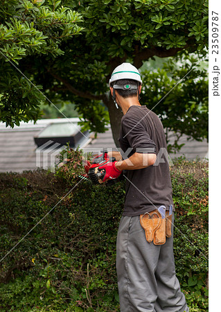 庭師 庭師 23509787