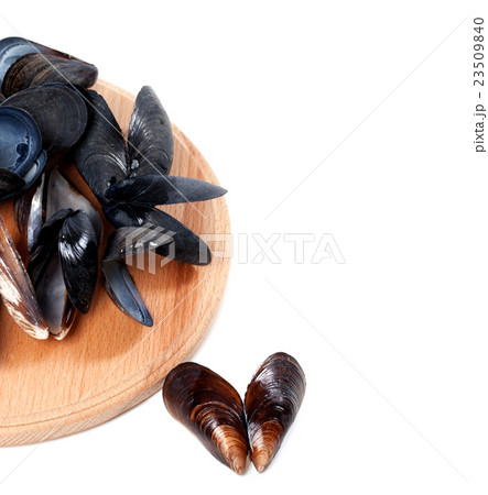 Shells of mussels on cutting board 23509840
