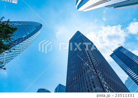 爽やかな緑のビジネス街 爽やかな緑のビジネス街 23511331