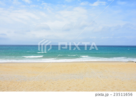 屋久島の永田いなか浜 23511656