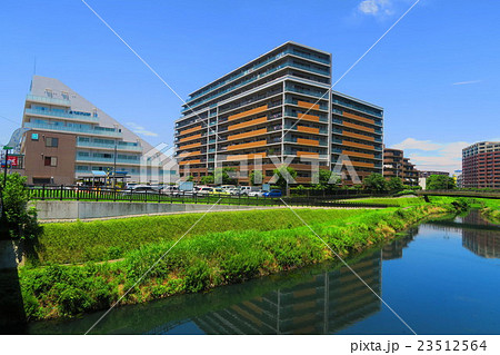 国道122号線付近から見た川口工業総合病院とルイシャトレ川口レックスフォート 国道122号線付近から見た川口工業総合病院とルイシャトレ川口レックスフォート 23512564