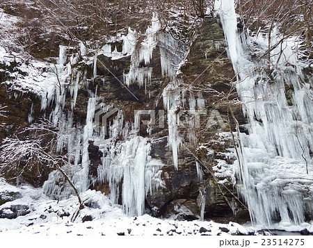 三十槌の氷柱 三十槌の氷柱 23514275