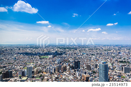 都庁から眺める東京の町並み 都庁から眺める東京の町並み 23514973