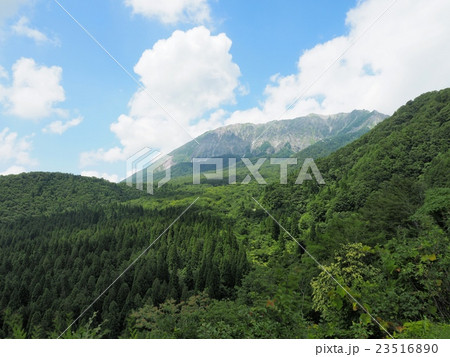 鍵掛峠から見る夏の大山南壁 23516890