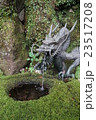 箱根湯本の天成園の玉簾神社の竜 箱根湯本の天成園の玉簾神社の竜 23517208