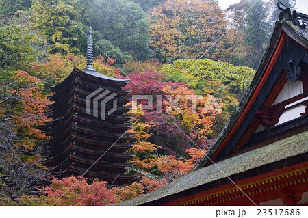 談山神社 十三重塔 紅葉 談山神社 十三重塔 紅葉 23517686
