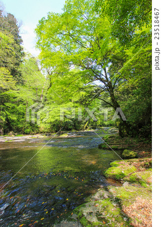 菊池渓谷 菊池渓谷 23518467