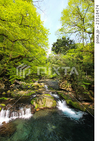 菊池渓谷 23518474