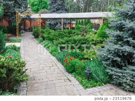 Landscape design, evergreen bushes and path Landscape design, evergreen bushes and path 23519676