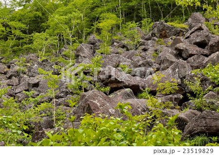 鹿追町の千畳くずれ 23519829