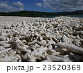 サンゴの海岸１ 23520369