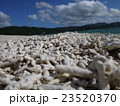 サンゴの海岸２ 23520370