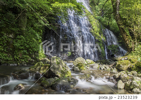 昼間の滝(日本の滝百選 龍双ケ滝) 昼間の滝(日本の滝百選 龍双ケ滝) 23523239