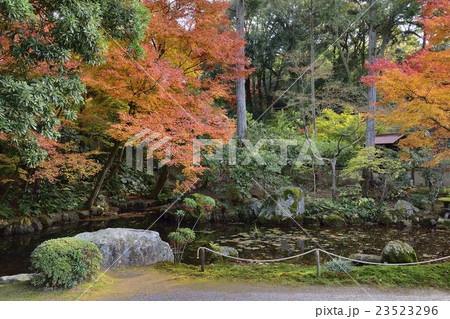 即宗院　京都　東山　秋 23523296