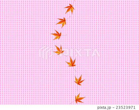 紅葉 23523971
