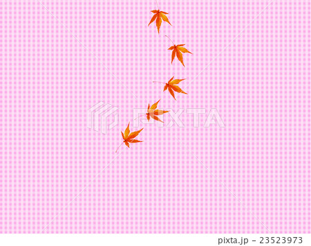 紅葉 23523973