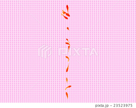 金魚 金魚 23523975