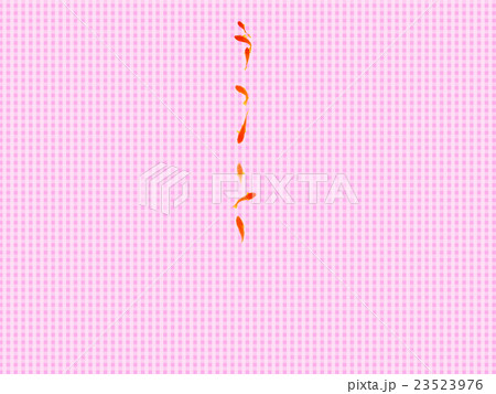 金魚 金魚 23523976