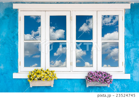 Beautiful Flowers Outside a Window with cloud on blue sky Beautiful Flowers Outside a Window with cloud on blue sky 23524745