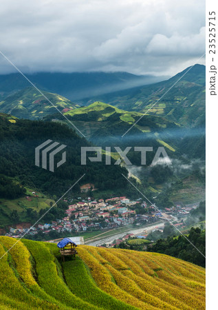 Rice fields on terraced of Mu Cang Chai District, YenBai province, Northwest Vietnam Rice fields on terraced of Mu Cang Chai District, YenBai province, Northwest Vietnam 23525715