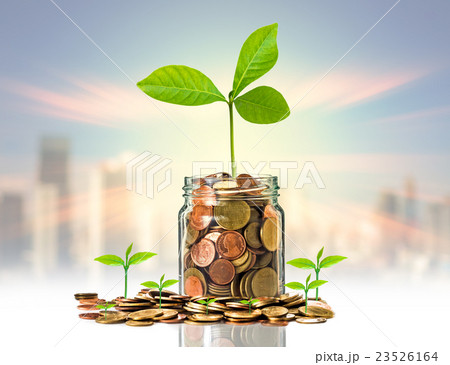 Gold coins and seed in clear bottle on photo blurred cityscape background,Business investment growth concept Gold coins and seed in clear bottle on photo blurred cityscape background,Business investment growth concept 23526164