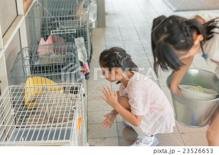 primary school child 23526653