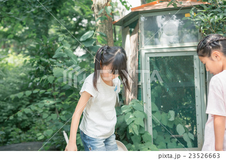 primary school child 23526663