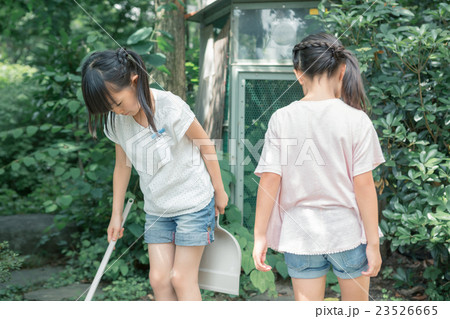 primary school child 23526665