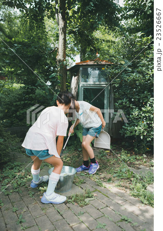 primary school child 23526667