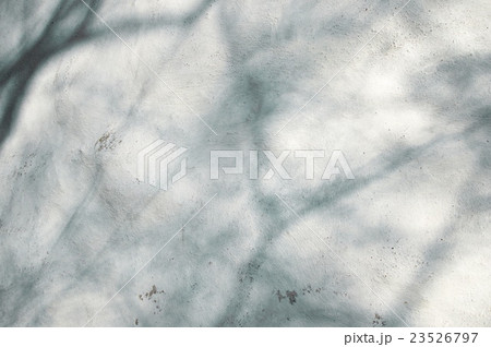 white cement texture with tree shadow background 23526797