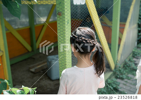 primary school child primary school child 23526818