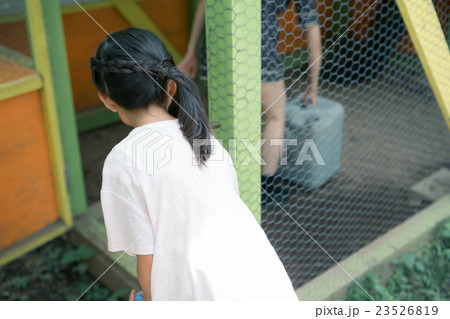 primary school child primary school child 23526819