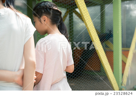 primary school child primary school child 23528624