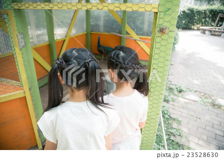 primary school child primary school child 23528630