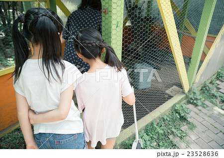 primary school child 23528636