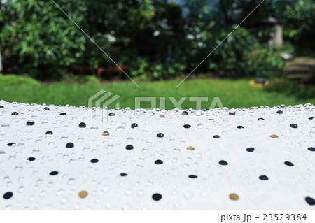 水玉 水玉 23529384