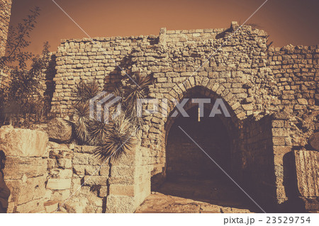 Ruins of Caesarea fortress at sunset, Israel 23529754
